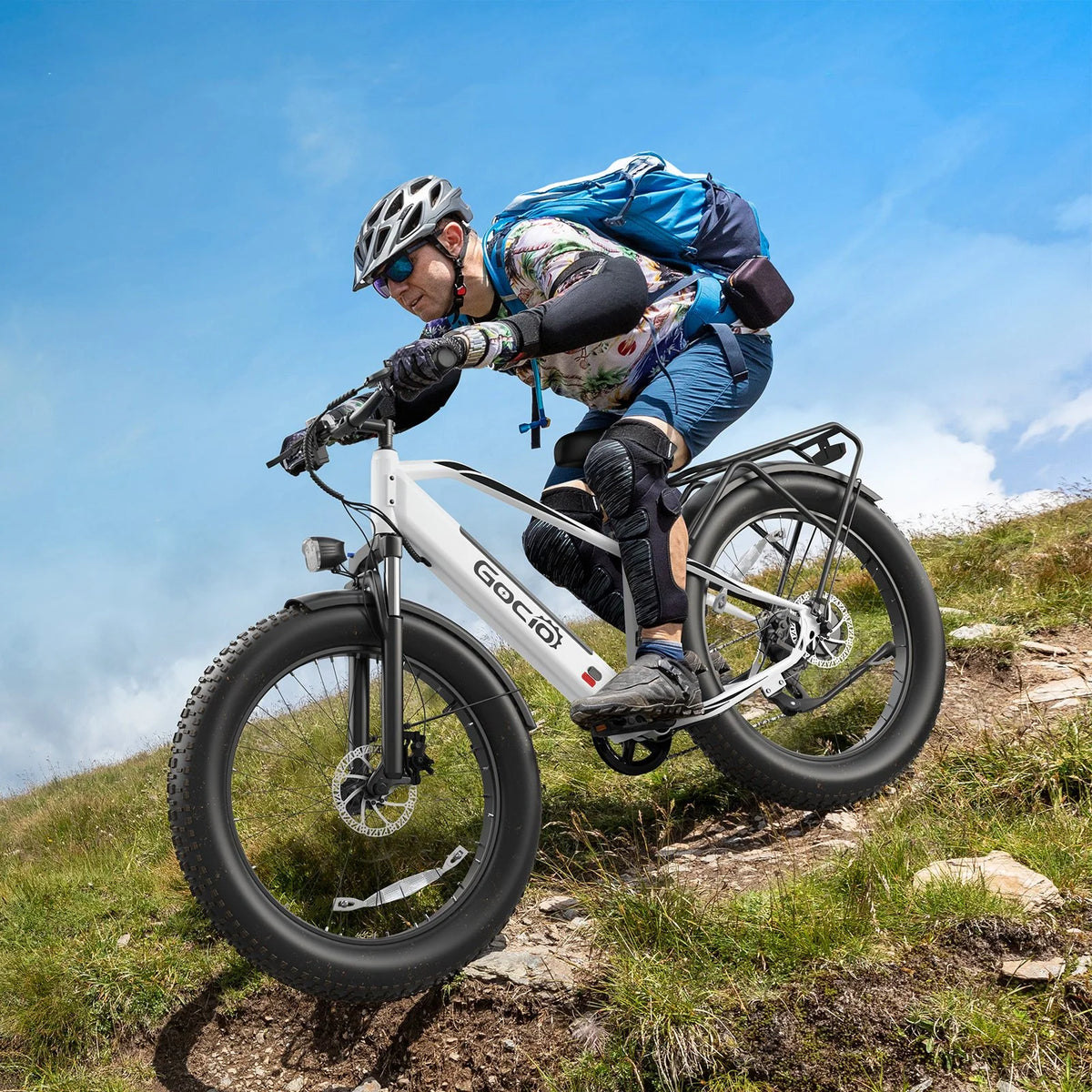 Gocio Electric Bike, 26"x4.0" Fat Tire E - Mountain Bike, Peak 1000W Motor, 28MPH 48V 15ah Battery Removable Ebike for Off Road, Sand, UL2849
