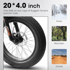 20 in Mountain Bike for 7 - 15 Years Old, 7 Speed Kids Bike with High Carbon Steel Frame, Fat Tire and Dual Disc Brake, Front Suspension Mountain