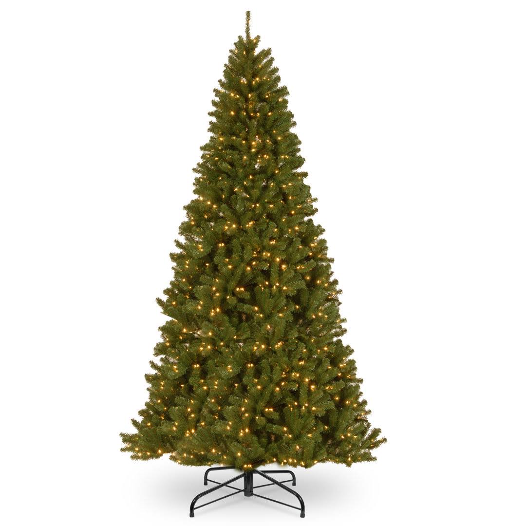 Laroche Norwood Fir Green Spruce Christmas Tree with Lights Andover Mills Size: 10 ft