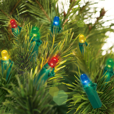 Holiday Time Battery Operated LED Mini Light Set Green Wire Multi Bulbs, 20 Count