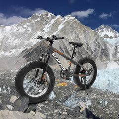 20 in Mountain Bike for 7 - 15 Years Old, 7 Speed Kids Bike with High Carbon Steel Frame, Fat Tire and Dual Disc Brake, Front Suspension Mountain