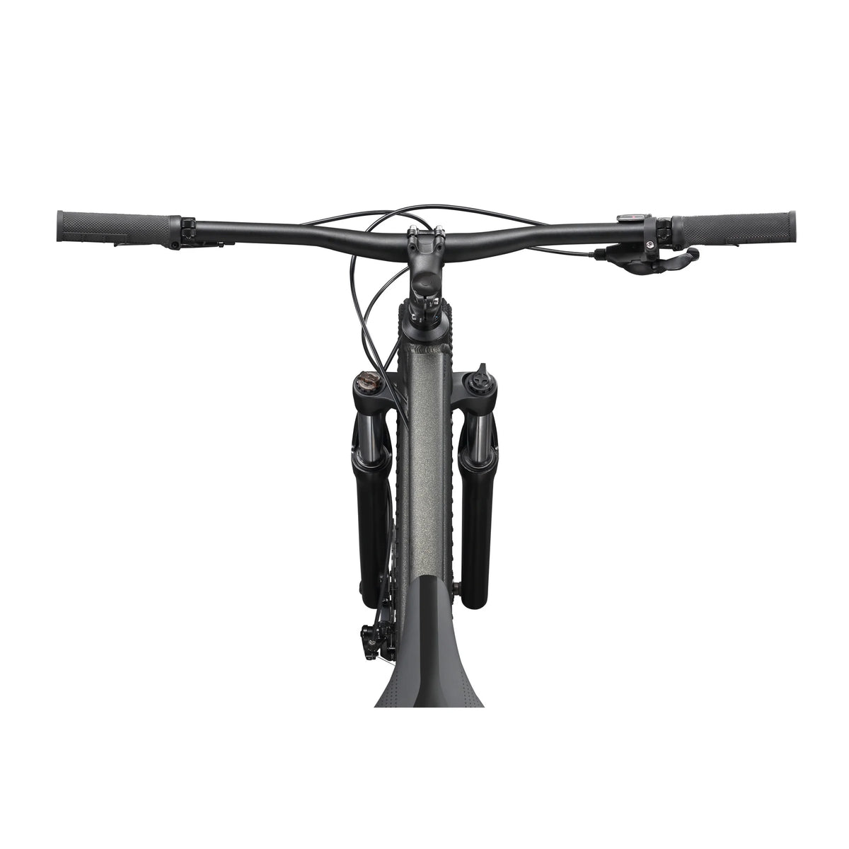 Schwinn Axum Comp, 29 - In. Adult Unisex, Mountain Bike, Medium Frame, Black