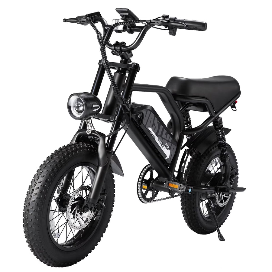AVDL Electric Bike, 16" Fat Tire Ebike, 500W Motor, 48V 12ah Removable Battery, 4x Suspension, 38 Miles Pure Electric, 55 Miles Pedal