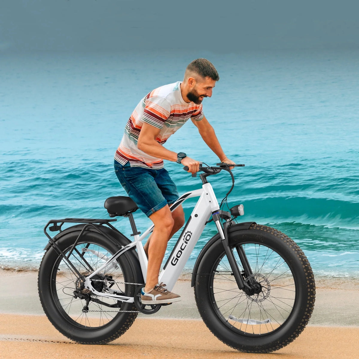 Gocio Electric Bike, 26"x4.0" Fat Tire E - Mountain Bike, Peak 1000W Motor, 28MPH 48V 15ah Battery Removable Ebike for Off Road, Sand, UL2849