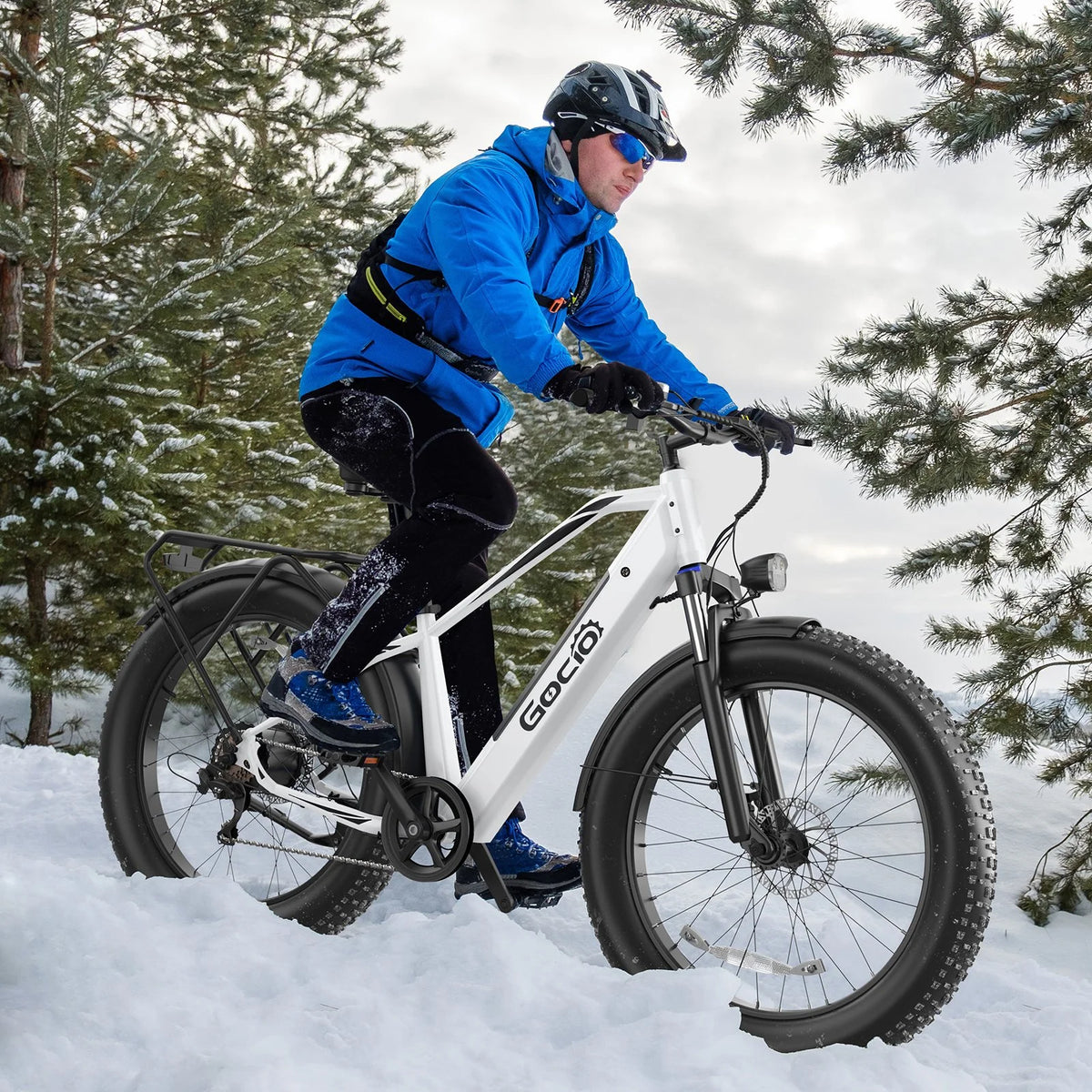 Gocio Electric Bike, 26"x4.0" Fat Tire E - Mountain Bike, Peak 1000W Motor, 28MPH 48V 15ah Battery Removable Ebike for Off Road, Sand, UL2849